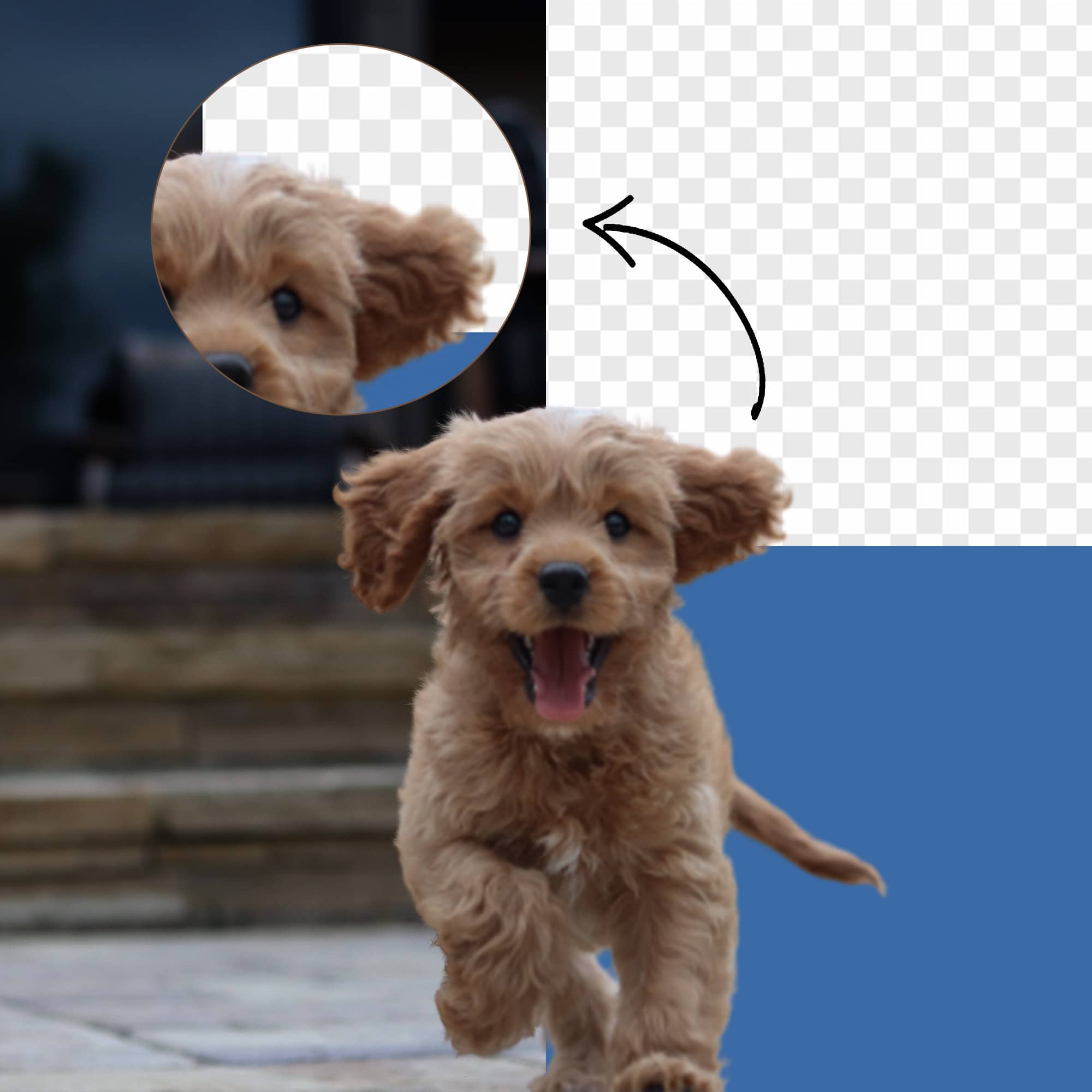 How jpgtopngtransparent.com work to convert jpg images to png transparent